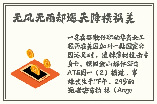 はじめてのおるす在线